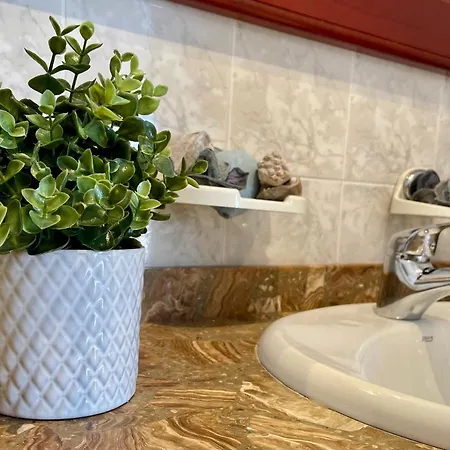 Cozy And Sunny Over The Rooftops Апартаменты *