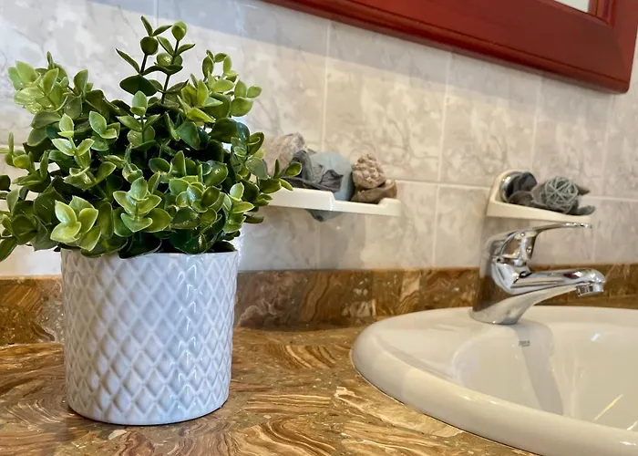 Cozy And Sunny Over The Rooftops Daire *